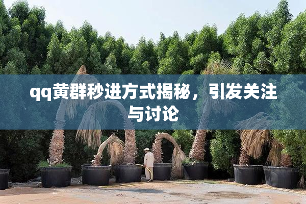 qq黄群秒进方式揭秘，引发关注与讨论