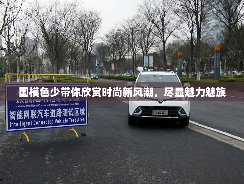 国模色少带你欣赏时尚新风潮，尽显魅力魅族