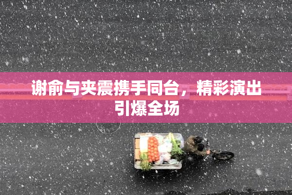 谢俞与夹震携手同台，精彩演出引爆全场