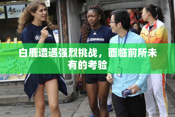白鹿遭遇强烈挑战，面临前所未有的考验