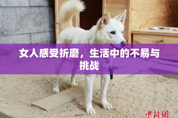 女人感受折磨，生活中的不易与挑战
