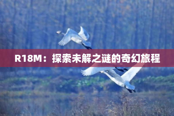 R18M：探索未解之谜的奇幻旅程