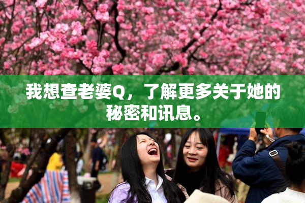 我想查老婆Q，了解更多关于她的秘密和讯息。