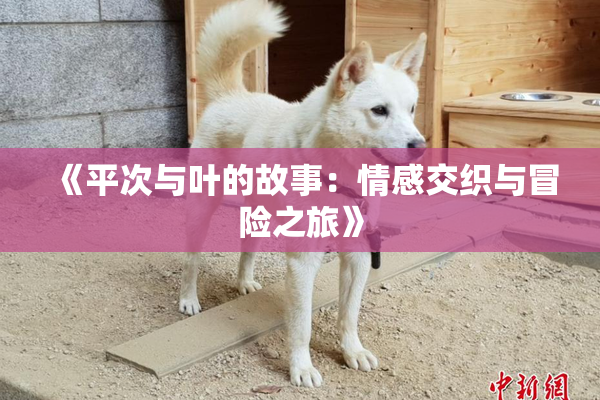 《平次与叶的故事：情感交织与冒险之旅》