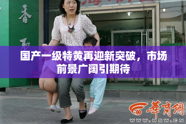 国产一级特黄再迎新突破，市场前景广阔引期待