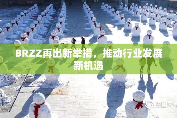 BRZZ再出新举措，推动行业发展新机遇