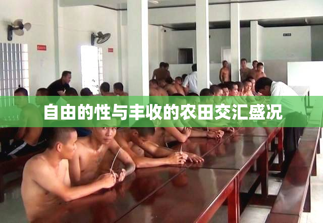 自由的性与丰收的农田交汇盛况
