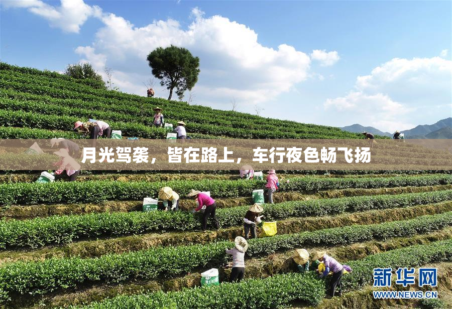 月光驾袭，皆在路上，车行夜色畅飞扬