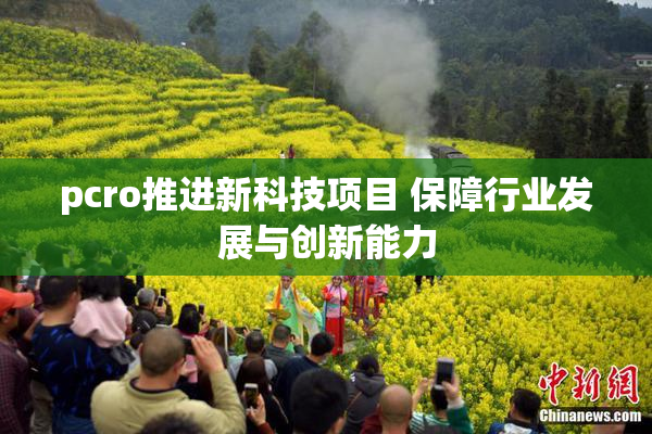 pcro推进新科技项目 保障行业发展与创新能力