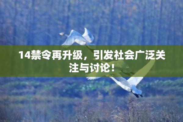 14禁令再升级，引发社会广泛关注与讨论！