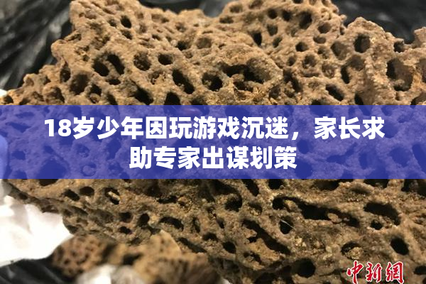 18岁少年因玩游戏沉迷，家长求助专家出谋划策