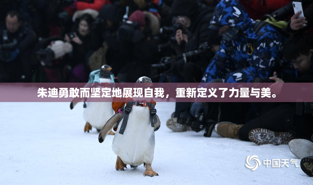 朱迪勇敢而坚定地展现自我，重新定义了力量与美。