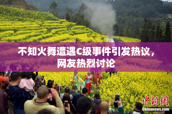 不知火舞遭遇C级事件引发热议，网友热烈讨论