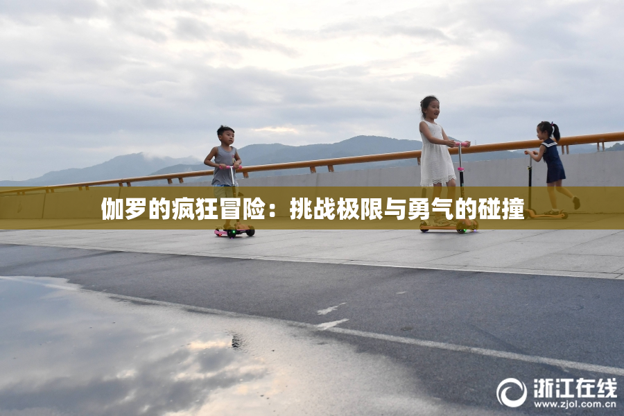 伽罗的疯狂冒险：挑战极限与勇气的碰撞