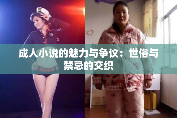 成人小说的魅力与争议：世俗与禁忌的交织