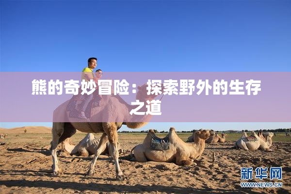 熊的奇妙冒险：探索野外的生存之道