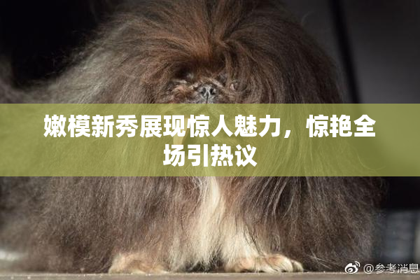 嫩模新秀展现惊人魅力，惊艳全场引热议