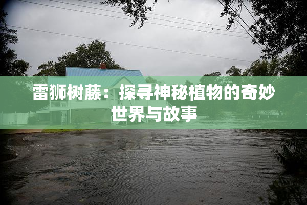 雷狮树藤：探寻神秘植物的奇妙世界与故事
