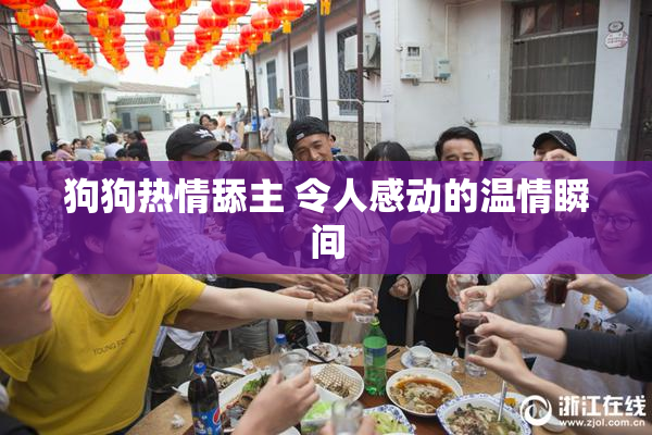 狗狗热情舔主 令人感动的温情瞬间
