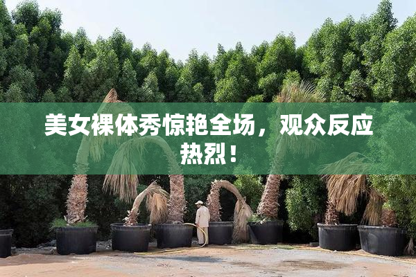 美女裸体秀惊艳全场，观众反应热烈！