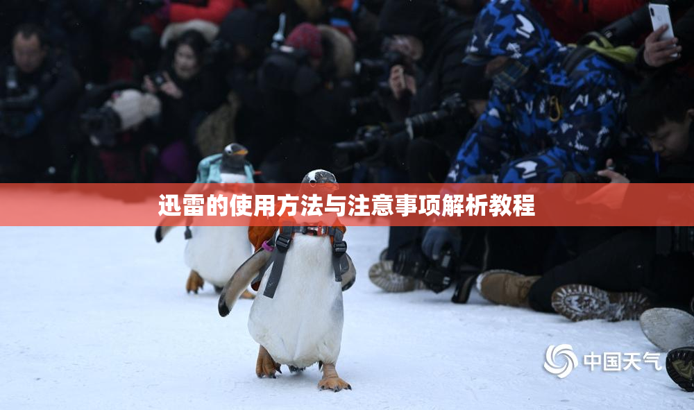 迅雷的使用方法与注意事项解析教程
