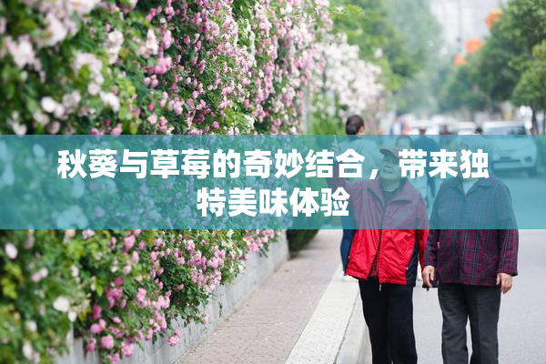 秋葵与草莓的奇妙结合，带来独特美味体验