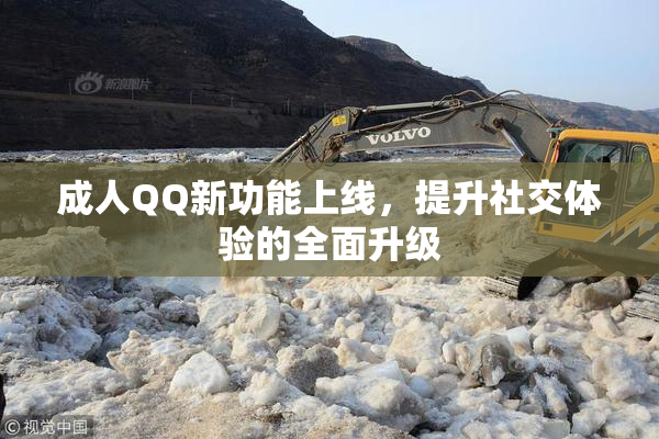 成人QQ新功能上线，提升社交体验的全面升级