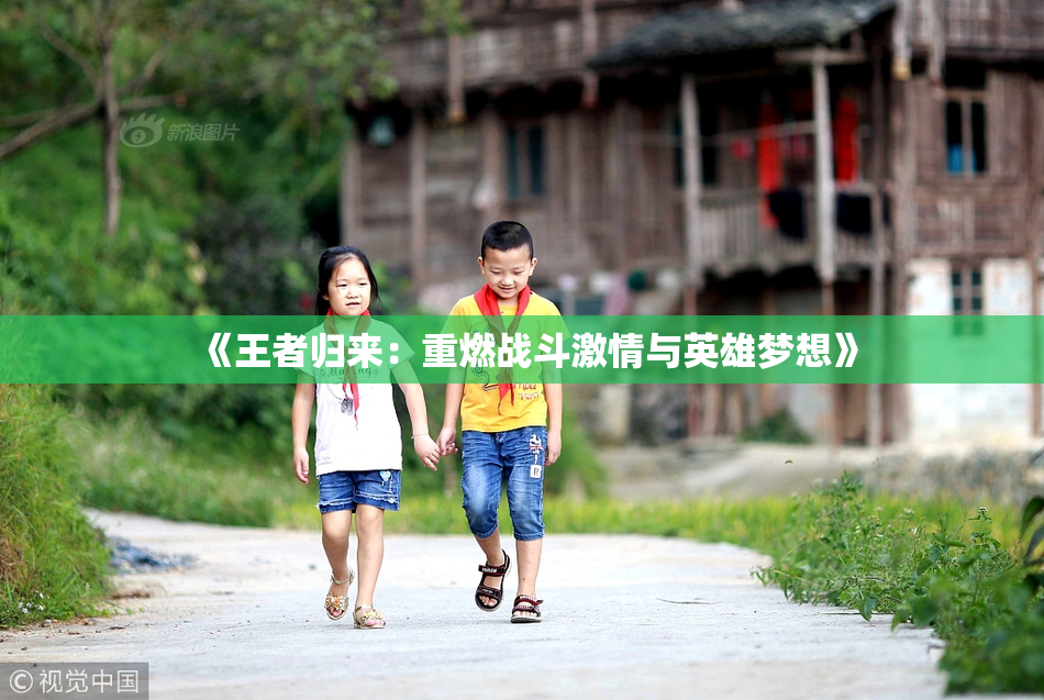 《王者归来：重燃战斗激情与英雄梦想》