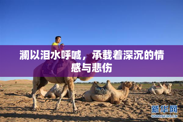 澜以泪水呼喊，承载着深沉的情感与悲伤