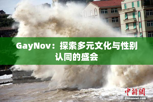 GayNov：探索多元文化与性别认同的盛会