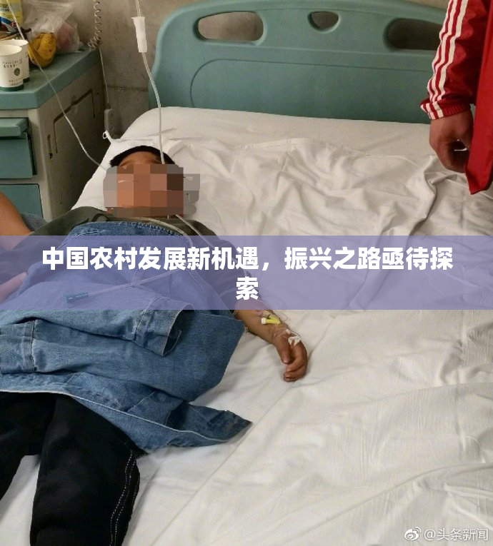 中国农村发展新机遇，振兴之路亟待探索