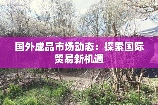 国外成品市场动态：探索国际贸易新机遇