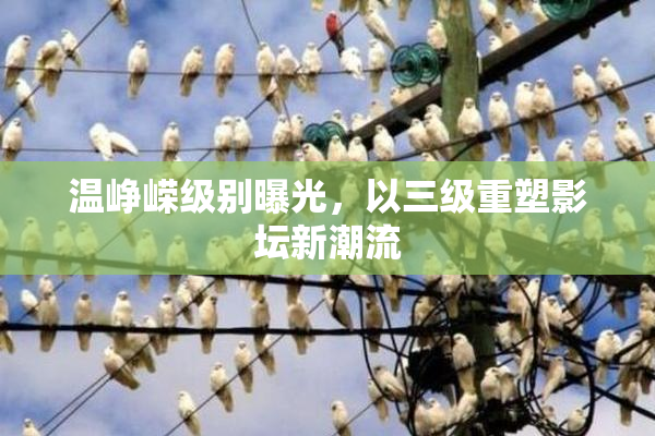 温峥嵘级别曝光，以三级重塑影坛新潮流