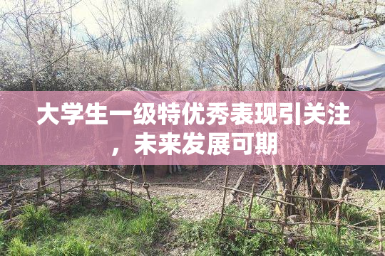 大学生一级特优秀表现引关注，未来发展可期