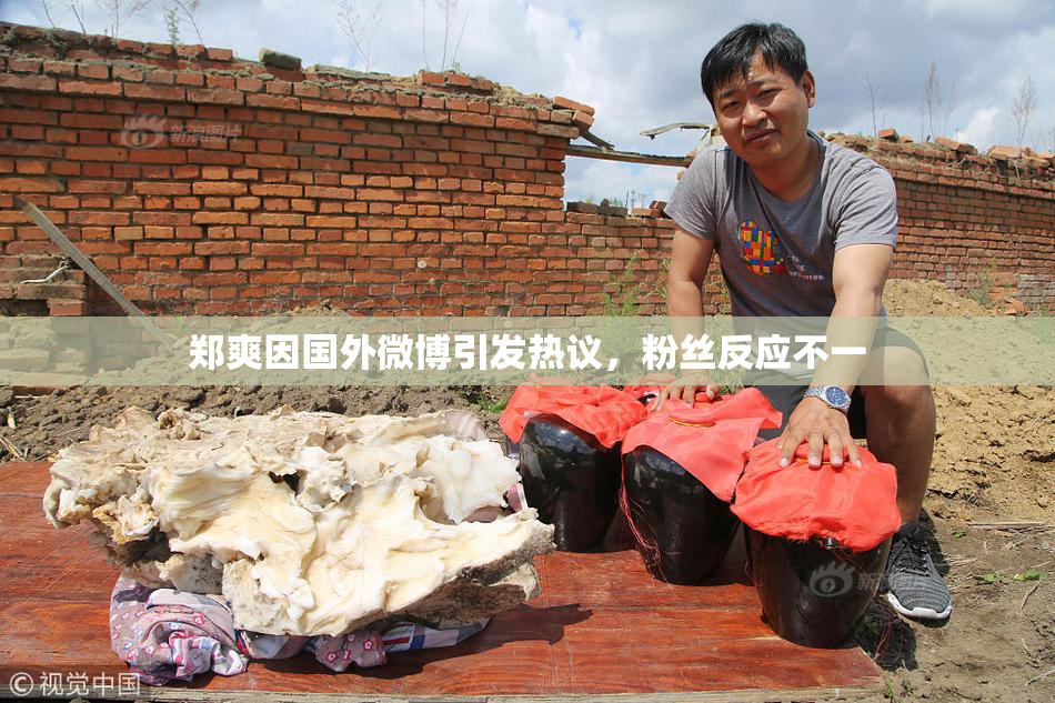 郑爽因国外微博引发热议，粉丝反应不一