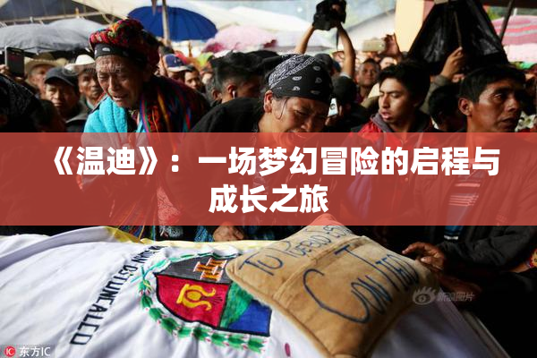 《温迪》：一场梦幻冒险的启程与成长之旅