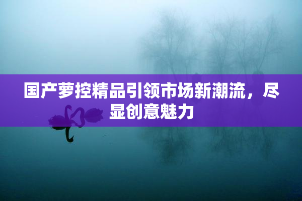 国产萝控精品引领市场新潮流，尽显创意魅力