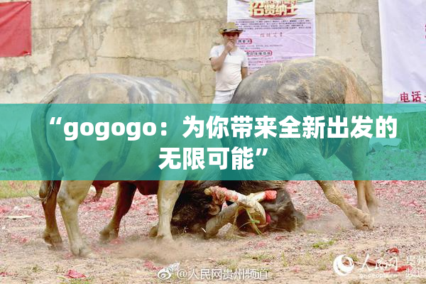 “gogogo：为你带来全新出发的无限可能”