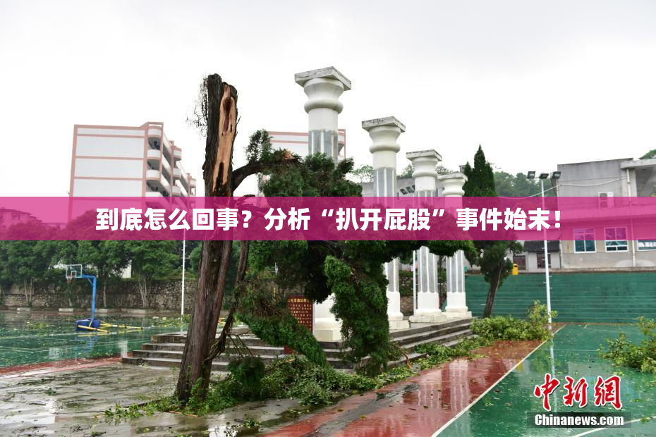 到底怎么回事？分析“扒开屁股”事件始末！