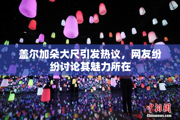 盖尔加朵大尺引发热议，网友纷纷讨论其魅力所在