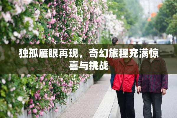独孤雁眼再现，奇幻旅程充满惊喜与挑战