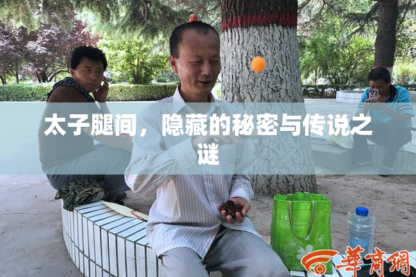 太子腿间，隐藏的秘密与传说之谜