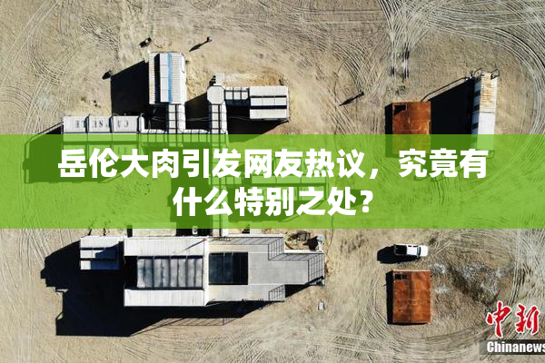 岳伦大肉引发网友热议，究竟有什么特别之处？