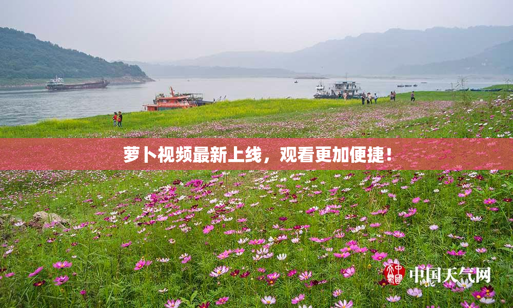 萝卜视频最新上线，观看更加便捷！