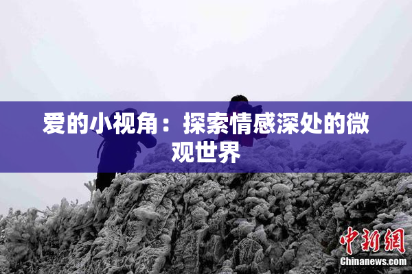 爱的小视角：探索情感深处的微观世界