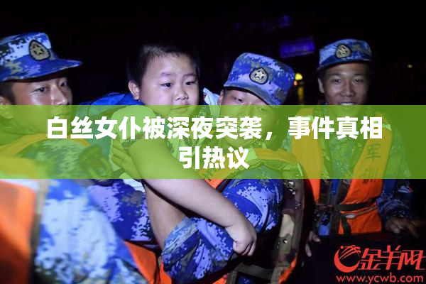 白丝女仆被深夜突袭，事件真相引热议