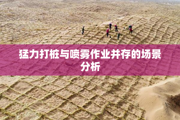 猛力打桩与喷雾作业并存的场景分析