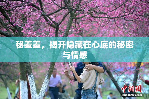 秘羞羞，揭开隐藏在心底的秘密与情感