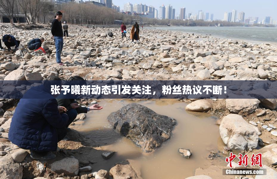 张予曦新动态引发关注，粉丝热议不断！