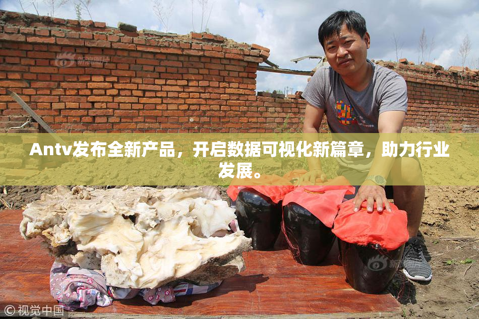 Antv发布全新产品，开启数据可视化新篇章，助力行业发展。